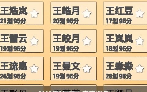 2023年2月王姓宝宝取名