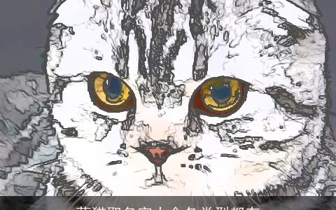 蓝猫取名字大全各类型都有