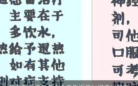 起名犯难鸡起名大全来告诉你如何应对起名