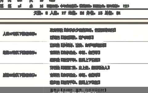 金恩泽名字打分