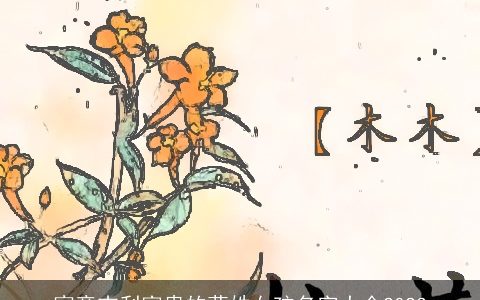 寓意吉利富贵的莫姓女孩名字大全2024