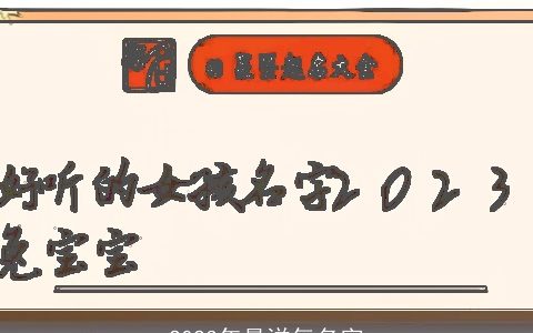 2023年最洋气名字