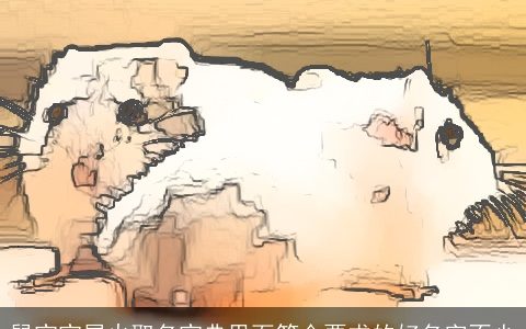 鼠宝宝属火取名宝典里面符合要求的好名字不少