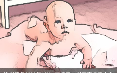 男婴取名2024年出生 有诗意的男宝宝名字大全