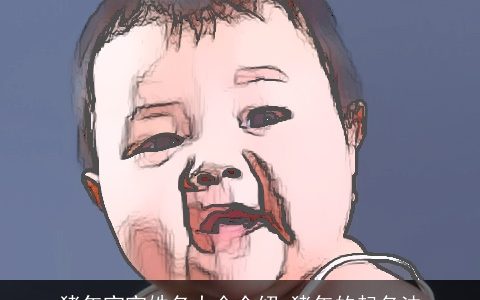 猪年宝宝姓名大全介绍 猪年的起名法