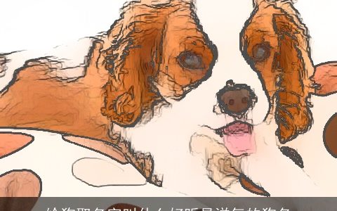 给狗取名字叫什么好听最洋气的狗名