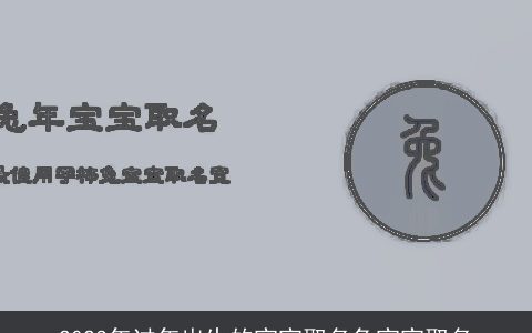 2023年过年出生的宝宝取名兔宝宝取名