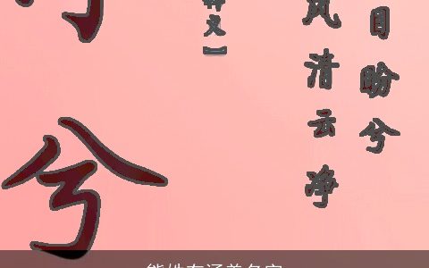 熊姓有涵养名字
