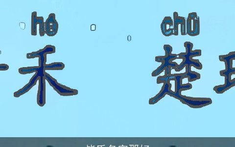 毕氏名字那好