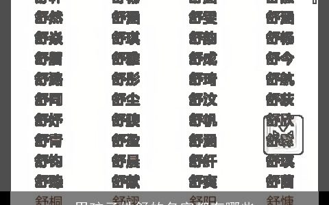 男孩子姓舒的名字都有哪些