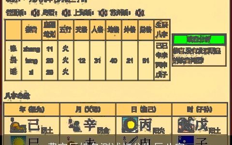 费宇辰姓名测试打分生辰八字