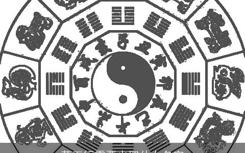 萱五行需要火取什么名字