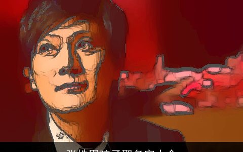 张姓男孩子取名字大全