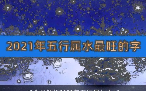 12个月解析2023年五行属什么13