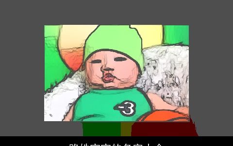 路姓宝宝的名字大全