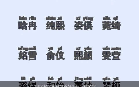 轲字起名寓意好不好带轲字的名字_名字大全好听寓意的带字小孩名字大全