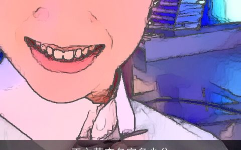 王文茜查名字多少分