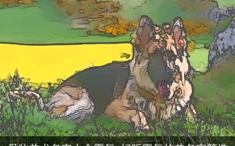 母牧羊犬名字大全霸气 好听霸气的羊名字筛选