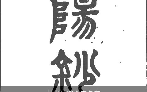 姓龙的四个字名字