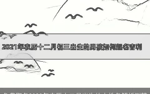 免费取名2024年农历十二月出生的人姓名解析测算