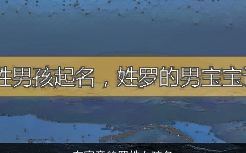 有寓意的罗姓女孩名