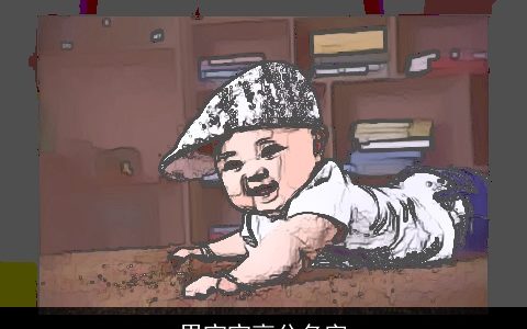 男宝宝高分名字