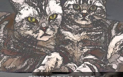 美短起名字怎么起一起来看