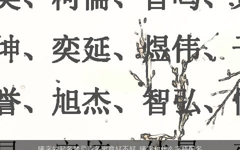 曦字的起名禁忌取名寓意好不好 曦字和什么字搭配名字最好听 2024女孩起曦好吗曦字的起名禁忌有哪些