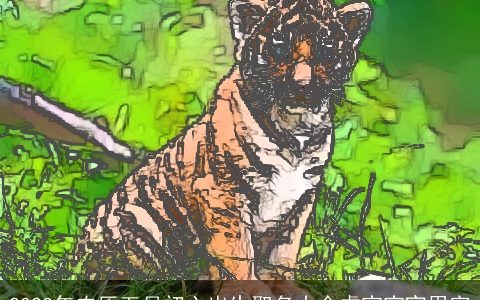 2023年农历五月初六出生取名大全虎宝宝宜用字