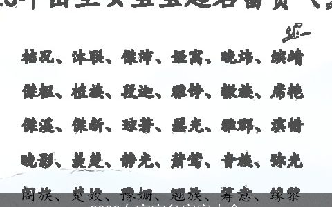 2023女宝宝名字字大全