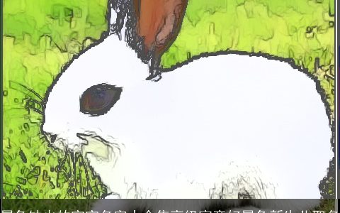 属兔缺火的宝宝名字大全集高级寓意好属兔新生儿取名