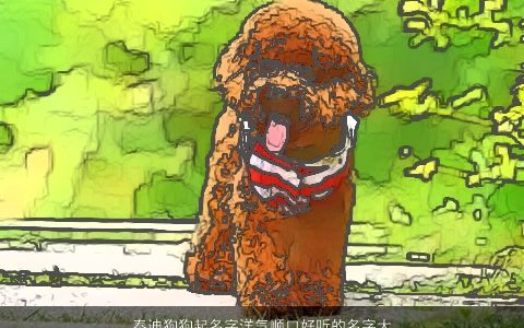 泰迪狗狗起名字洋气顺口好听的名字大全取名大全网洋气顺口好听的狗狗名字