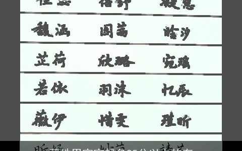 薛姓男宝宝起名95分以上的有