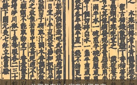 治取名有什么寓意治取名字