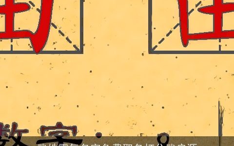 武姓霸气名字免费取名打分武启源