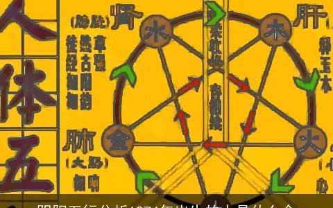 阴阳五行分析1974年出生的人是什么命
