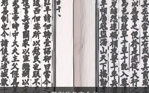 蒋例非名字含义