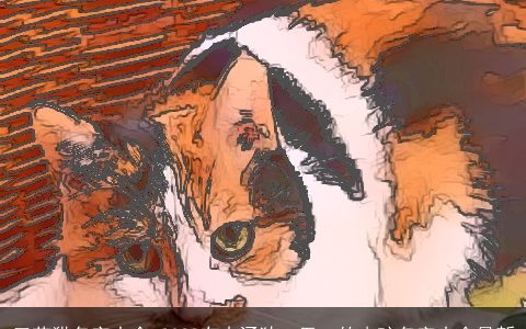 三花猫名字大全 2023有内涵独一无二的小孩名字大全最新