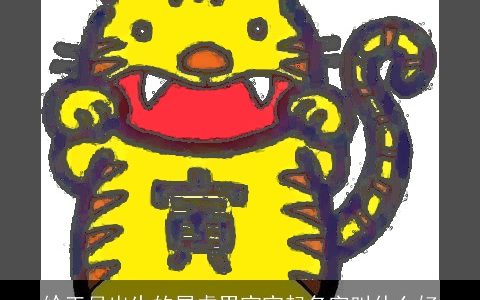 给正月出生的属虎男宝宝起名字叫什么好