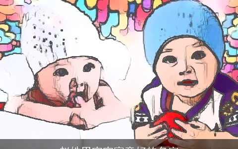 赵姓男宝宝寓意好的名字