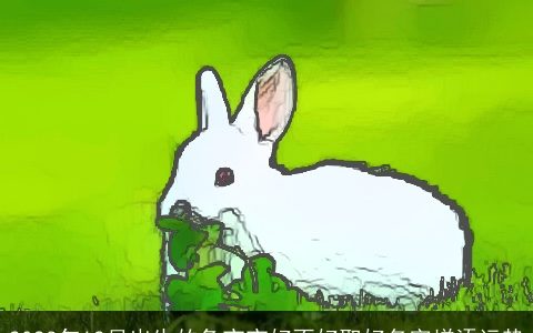 2023年12月出生的兔宝宝好不好取好名字增添运势