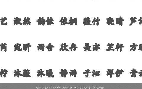 樊字起名含义 樊字宝宝取名大全寓意 2023有内涵寓意的宝宝名字大全推荐