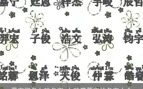 蕾字取名女孩名字 女孩带蕾字的名字大全