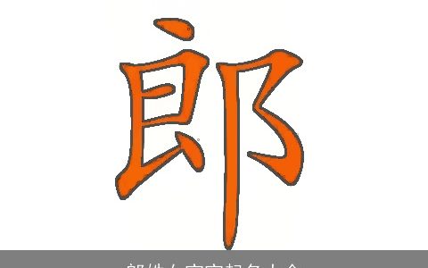 郎姓女宝宝起名大全