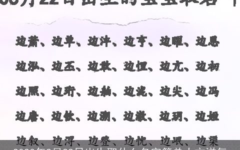2024年2月22日出生取什么名字简单大方洋气