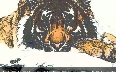 生肖属老虎的宝宝应该怎么取名 如何选择最佳名字