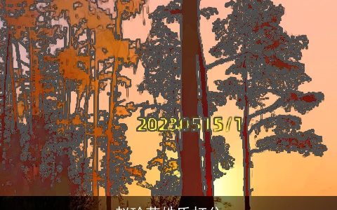 赵玲荣姓氏打分