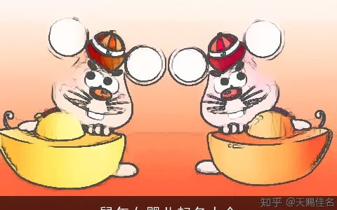 鼠年女婴儿起名大全