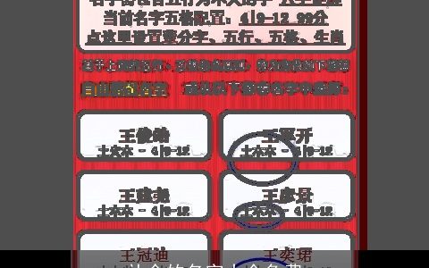 补金的名字大全免费