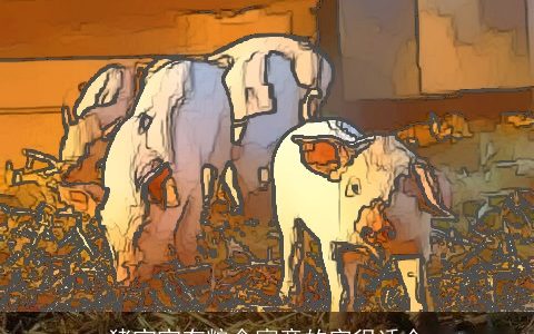 猪宝宝有粮食寓意的字很适合